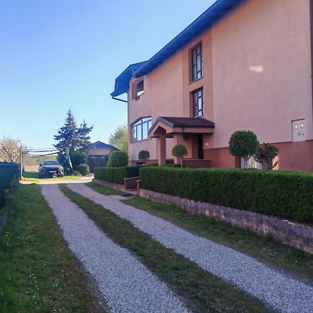 Apartman Kristian Zagreb Airport Velika Gorica Exterior foto